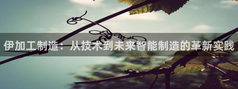乐发平台安全吗