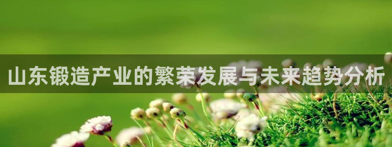 乐发平台网址是多少