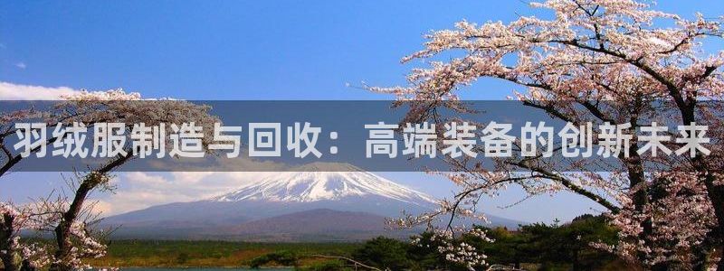 乐发彩票平台官网