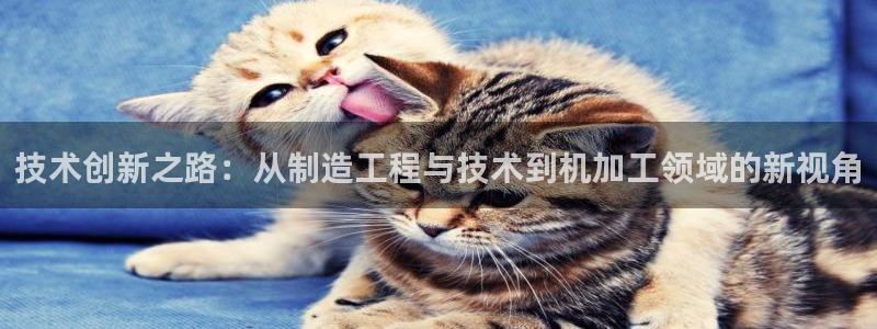 乐发传媒平台