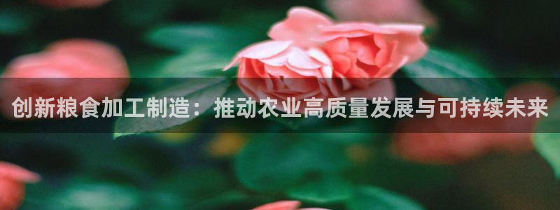 乐发VIII平台