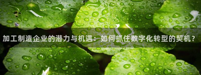 乐发平台怎么样可靠吗