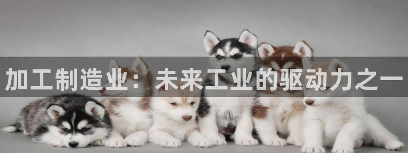 乐发平台手机版下载