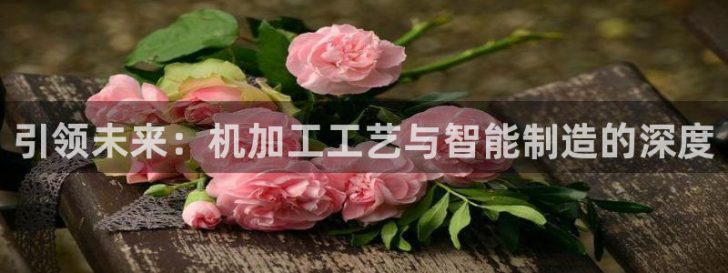 乐发平台赚钱技巧