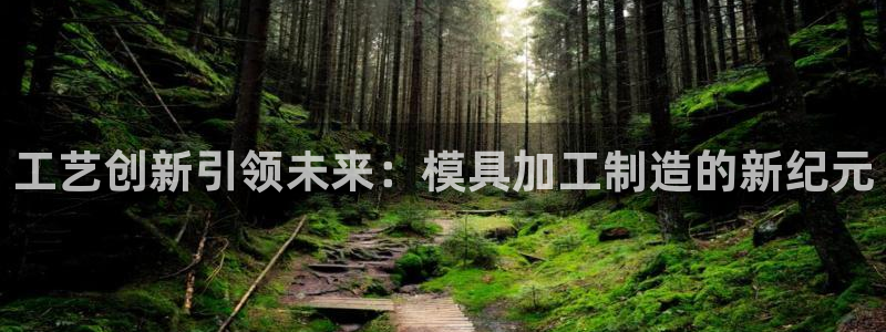 乐发vl彩票平台
