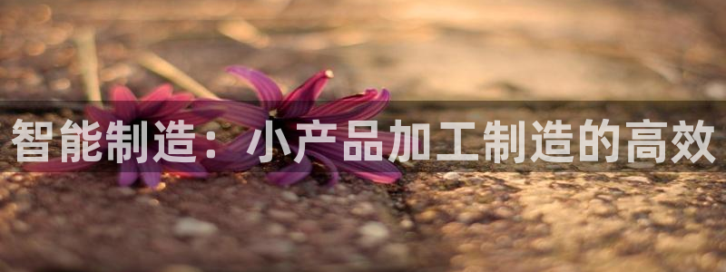 乐发vl彩票平台