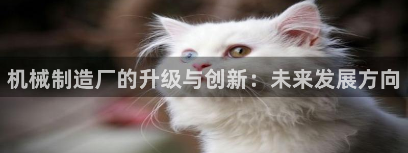 乐发平台app下载安装