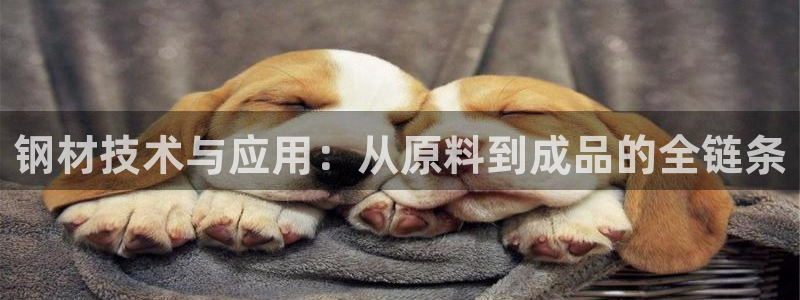 类似乐发传媒的平台
