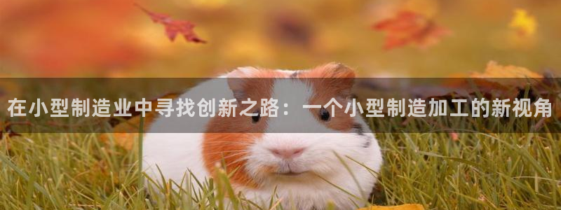 乐发娱乐平台