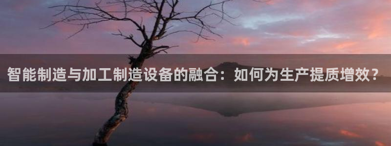 乐发彩票平台下载手机版