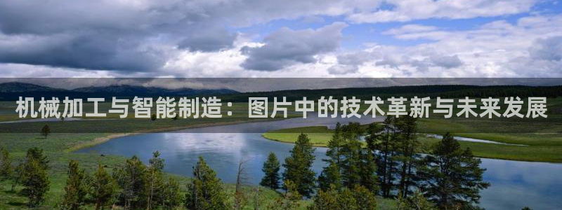 乐发国际平台怎么样