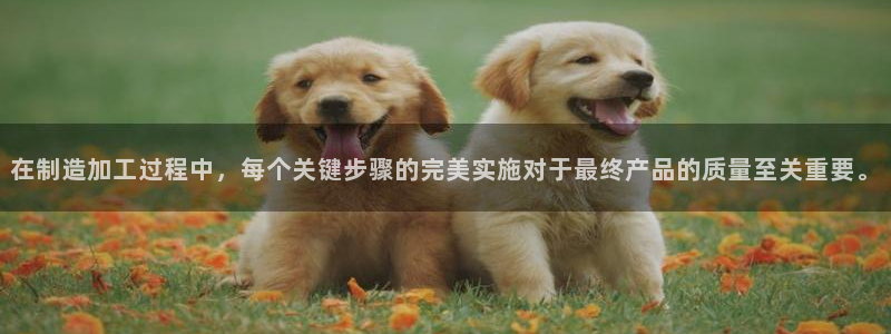 乐发平台杀猪盘