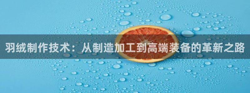 乐发平台注册地址