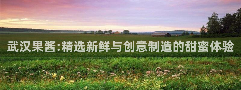 乐发平台金辉娱乐怎么样