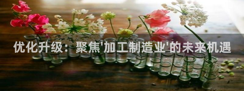 乐豪发是黑平台吗