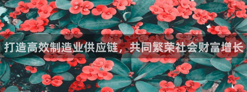 乐发是大平台吗是正品吗