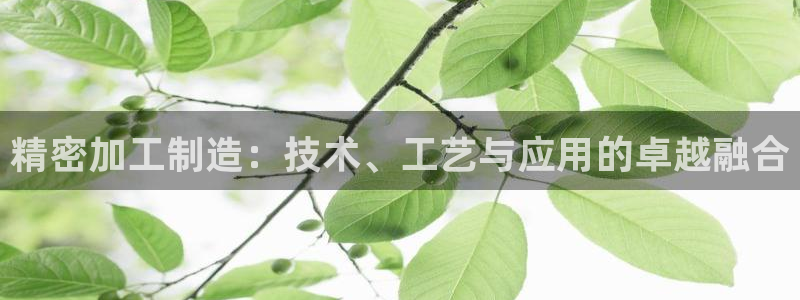 类似乐虎优发老虎机平台