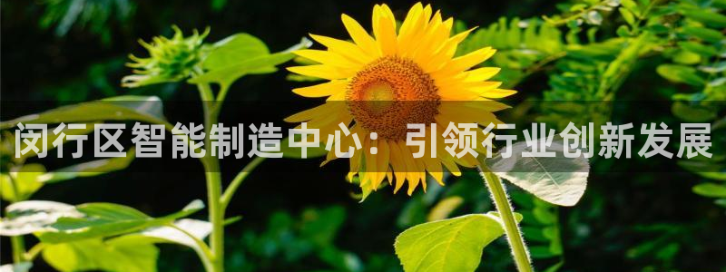 兼职乐app发圈平台