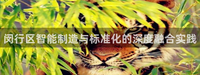 乐发分期是什么贷款平台