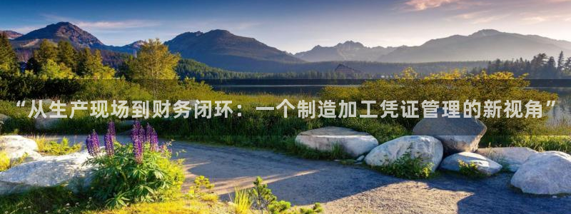 众乐发圈平台