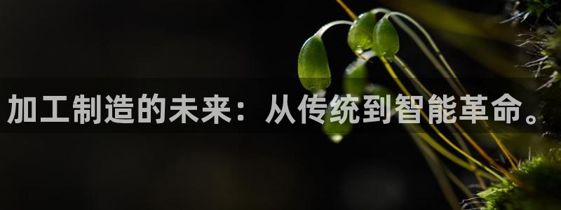 乐发平台下载安装最新版