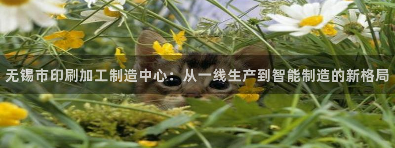 乐发1平台