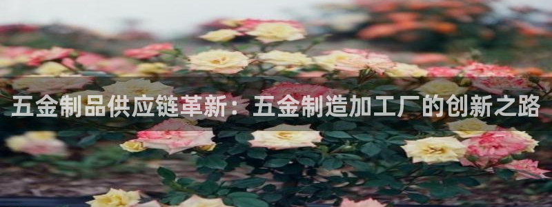 乐彩轩平台指尖发