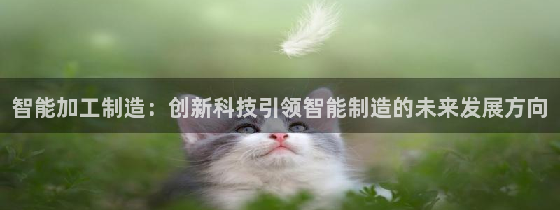 乐发彩票平台跑路了吗