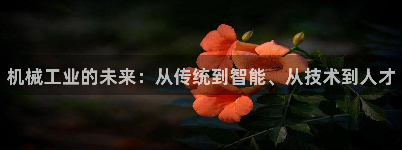 乐发平台邀请码合集在哪