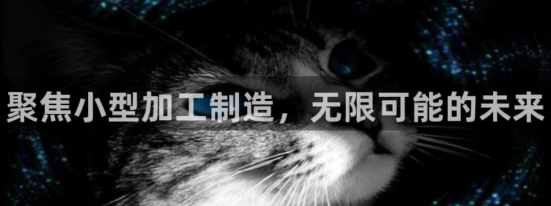 乐发viii平台 首页