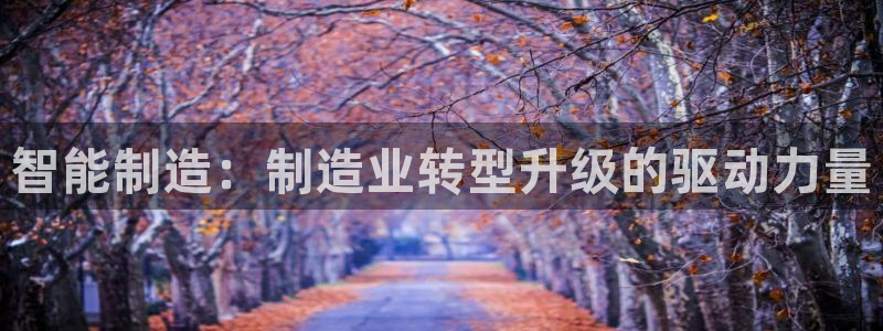 众乐发圈平台