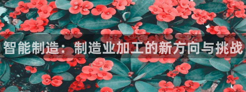 乐发平台注册资金多少钱