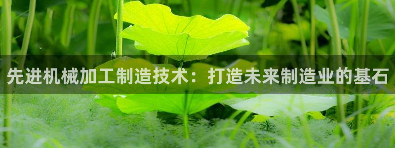 乐发彩票平台玩能赚钱吗
