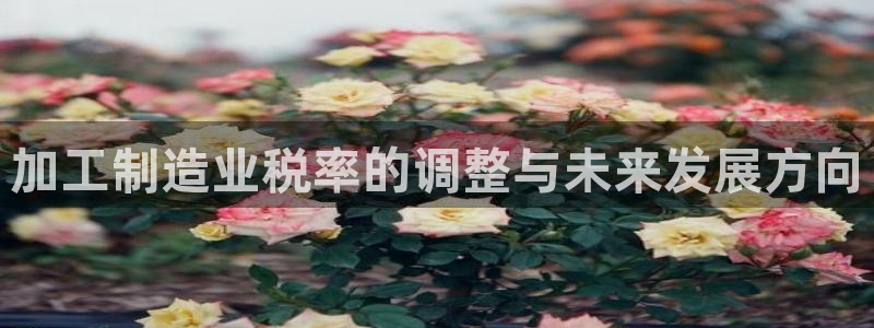 乐发平台今天咋打不开