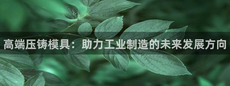 乐豪发娱乐平台