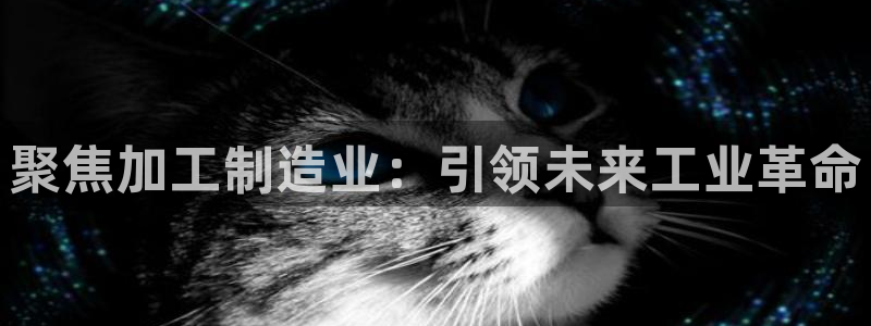 乐发平台注册资金多少